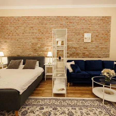 Jolie Flat In The Heart Of The Timisoara