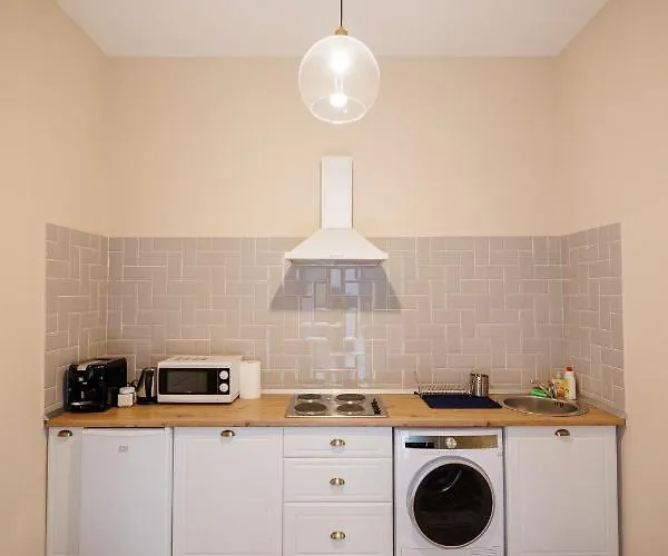 Jolie Flat In The Heart Of The * Temešvár